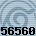 56560