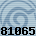 81065