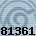 81361