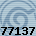 77137
