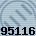 95116