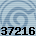 37216