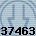 37463