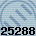 25288