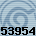 53954