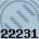 22231