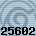 25602