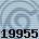 19955