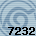7232