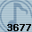 3677