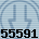55591