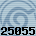 25055
