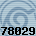78029