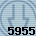 5955