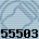 55503