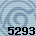 5293