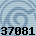 37081