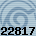 22817