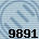 Equipe 9891