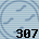 Equipe 307