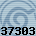 37303