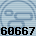 60667