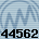 44562