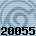 20055