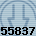 55837