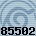 85502