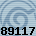 89117
