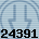 24391