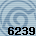 Equipe 6239