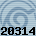 20314