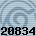 20834