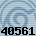40561