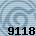 Equipe 9118
