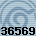 Equipe 36569