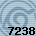 7238