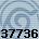 Equipe 37736