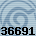 36691