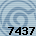 7437