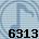 6313