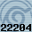 22204