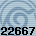 22667