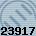 23917