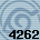 4262