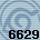 Equipe 6629