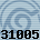 31005