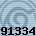 Equipe 91334